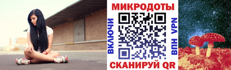 Псилоцибиновые грибы Cubensis Купить Губкинский