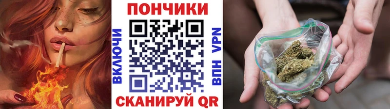 Купить где  Губкинский  Канабис марихуана 